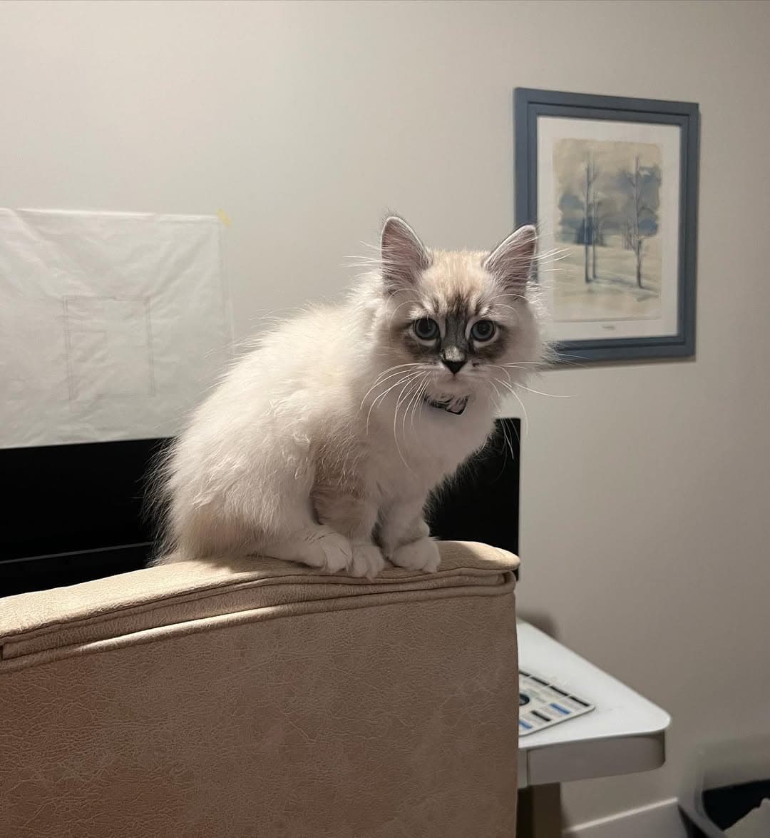 Miss Murphy