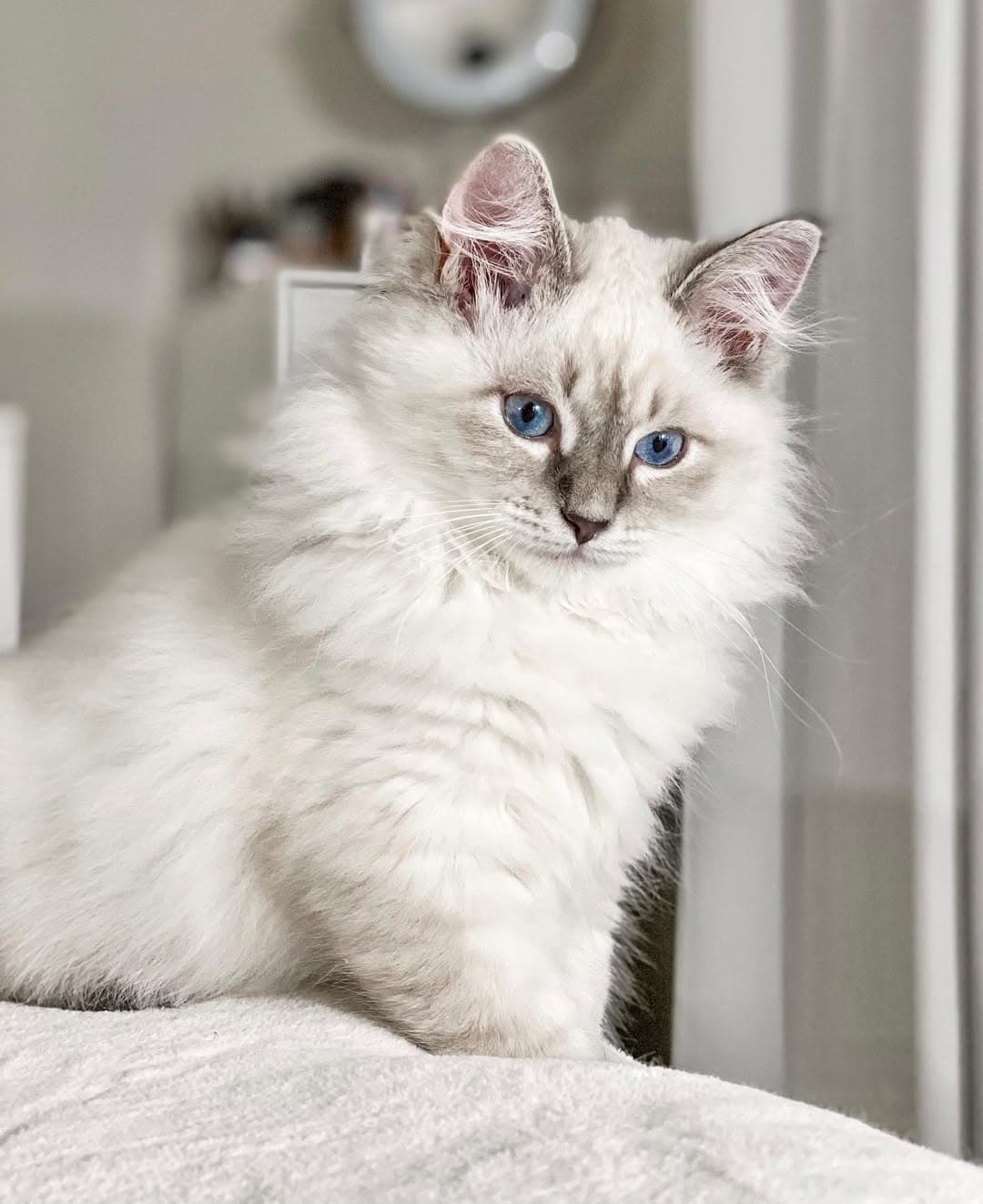 Murphy