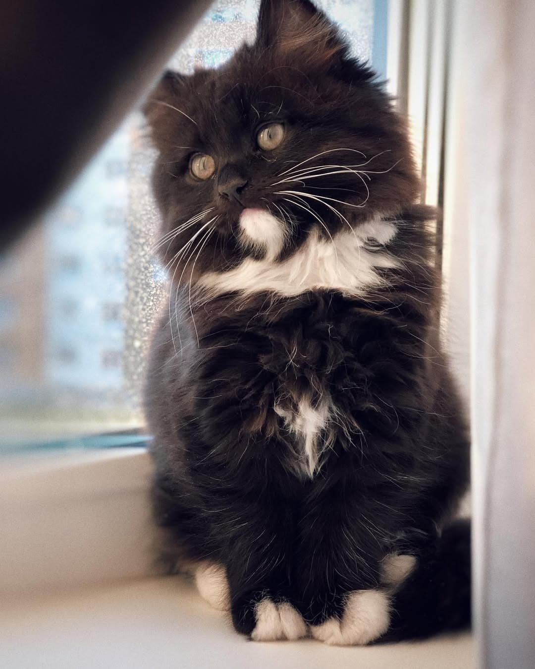 Thomas